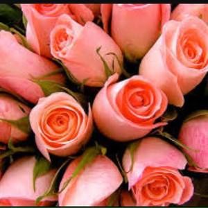 Meet your Posher, Liliana